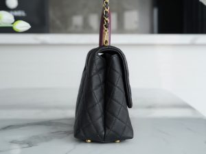 CoCo Handle 蜥蜴手柄 黑色大号 图5