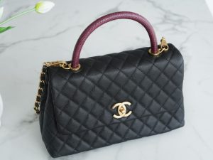 CoCo Handle 蜥蜴手柄 黑色大号 图8