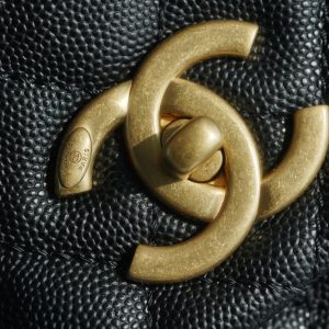 CoCo Handle 蜥蜴手柄 黑色大号 图9