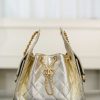 Chanel small hobo 香槟金 鱼子酱 小号 图1