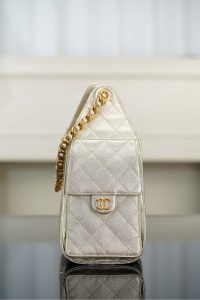 Chanel small hobo 香槟金 鱼子酱 小号 图6