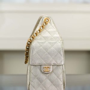 Chanel small hobo 香槟金 鱼子酱 小号 图6