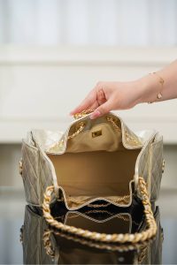 Chanel small hobo 香槟金 鱼子酱 小号 图7