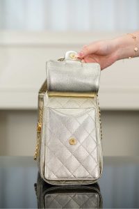 Chanel small hobo 香槟金 鱼子酱 小号 图8