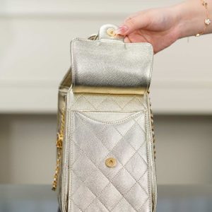 Chanel small hobo 香槟金 鱼子酱 小号 图8