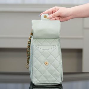 Chanel small hobo 薄荷绿小号 图7