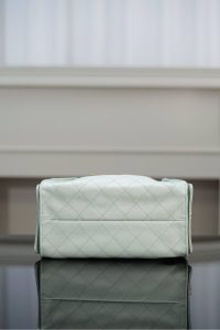 Chanel small hobo 薄荷绿小号 图9