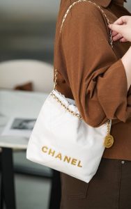 mini 22bag 白金 图1