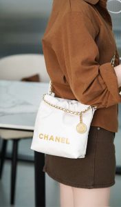 mini 22bag 白金 图3
