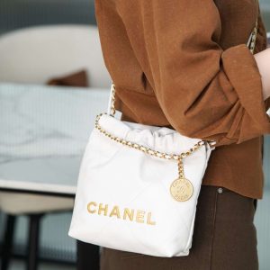 mini 22bag 白金 图3