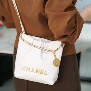 mini 22bag 白金 图5