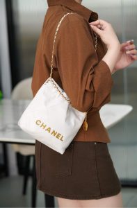 mini 22bag 白金 图7