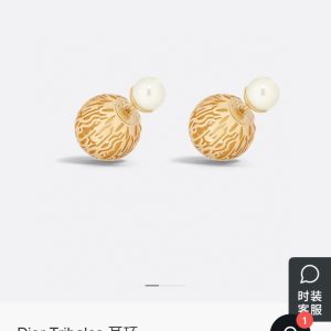迪奥 新款一线大牌都爱的Dior·迪奥 新品字母耳环 金属质感逆袭版字母潮范儿抢风头 完全胜任现代年轻人街拍、度假时尚搭 图1