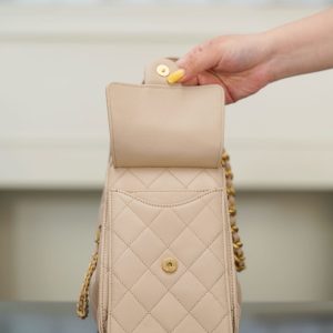 Chanel small hobo 杏色鱼子酱 小号 图8