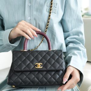 CoCo Handle 蜥蜴手柄 黑色小号 图8
