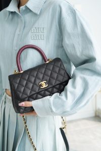 CoCo Handle 蜥蜴手柄 黑色小号 图1