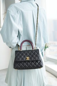 CoCo Handle 蜥蜴手柄 黑色小号 图2