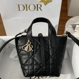 dior竖版toujours土著mini 图1