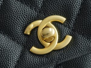 CoCo Handle 蜥蜴手柄 黑色小号 图9