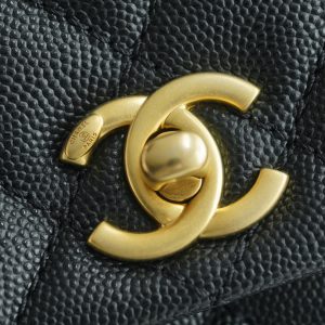 CoCo Handle 蜥蜴手柄 黑色小号 图9