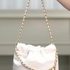 mini 22bag 白金 图1