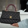 CoCo Handle 蜥蜴手柄 黑色小号 图1
