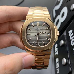 玫瑰金鹦鹉螺 图1