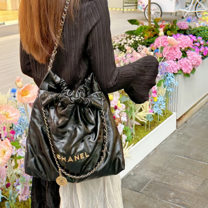 Chanel22bag 图3