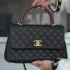 CoCo Handle 蜥蜴手柄 黑色大号 图1