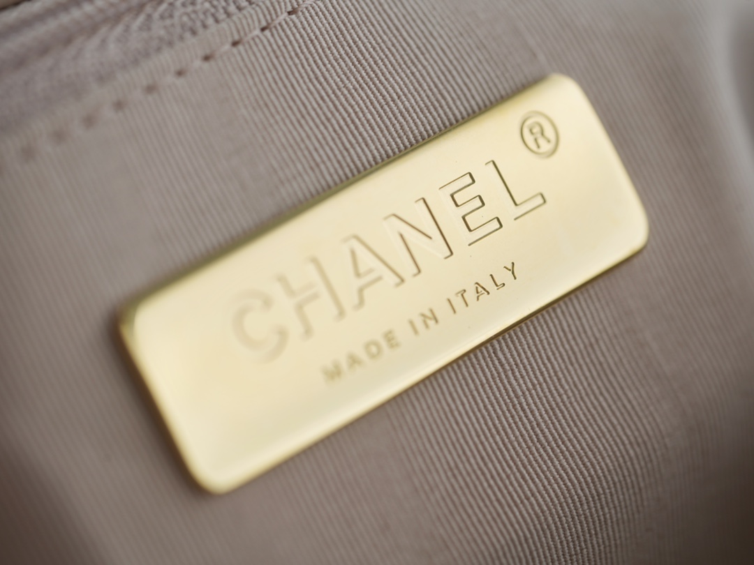 °CHANE·L春夏新品 19bag 浅杏 小号 图9