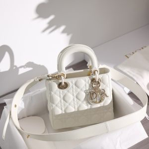 小号 LADY DIOR 手袋 图1