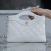 CHANEL 横款31bag nano 白色 图1