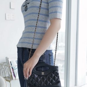 CHANEL 横款31bag nano 黑色 图4