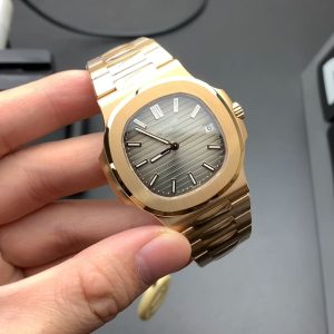 玫瑰金鹦鹉螺 图1