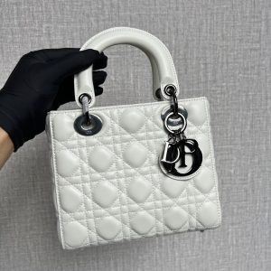 小号 LADY DIOR MY ABCDIOR 手袋 图1