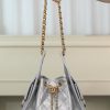 Chanel small hobo 银色 小号 图1