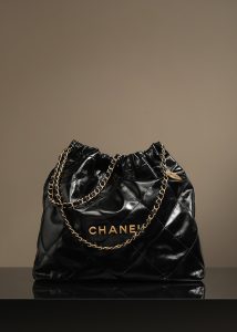 CHANEL 香奈儿22bag系列中号 图1