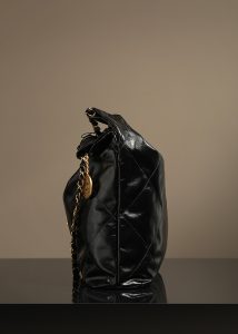 CHANEL 香奈儿22bag系列中号 图5