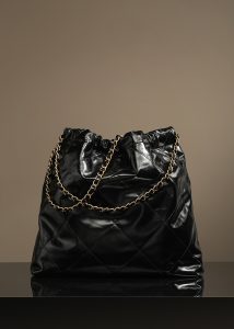 CHANEL 香奈儿22bag系列中号 图6