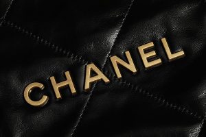 CHANEL 香奈儿22bag系列中号 图9