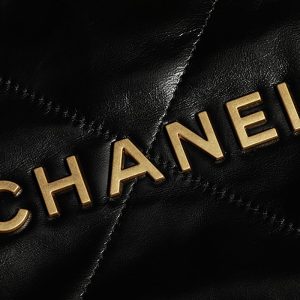 CHANEL 香奈儿22bag系列中号 图9