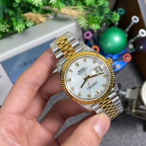 贝母日志41mm 图1