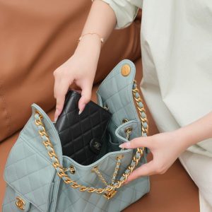 Chanel small hobo 雾霾蓝 鱼子酱 小号 图5