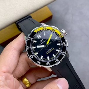 IWS 海洋时计 图1